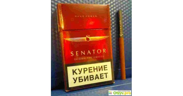 Senator Meaning and Definition