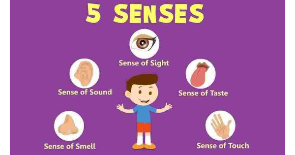 Sense Meaning and Definition