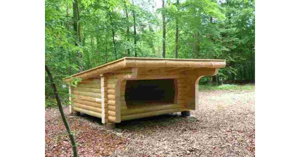 Shelter Meaning and Definition
