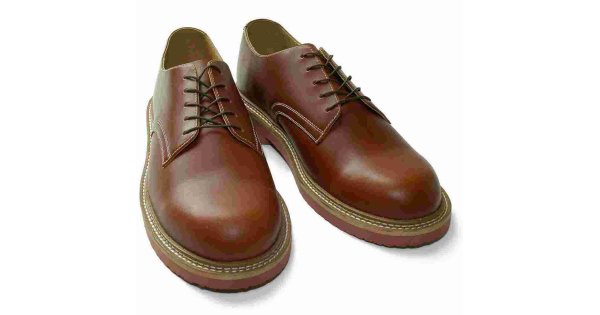 Shoe Meaning and Definition