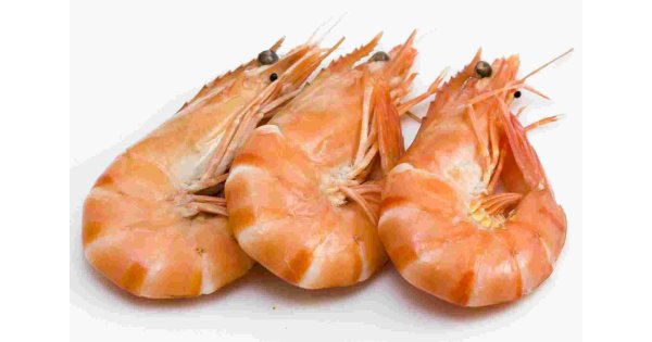 Shrimp Meaning and Definition