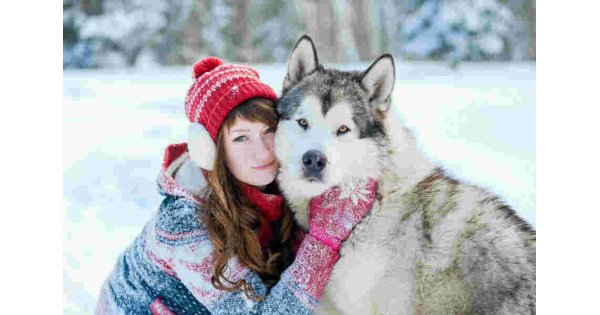 Siberian Meaning and Definition