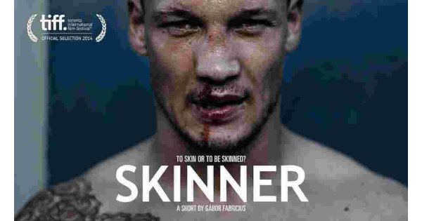 Skinner Meaning and Definition