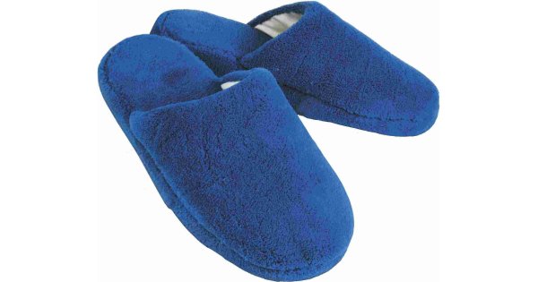 Slippers Meaning and Definition Slippers Meaning and Definition