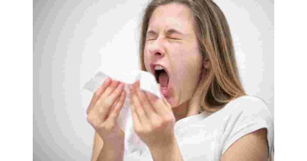 Sneeze Meaning and Definition