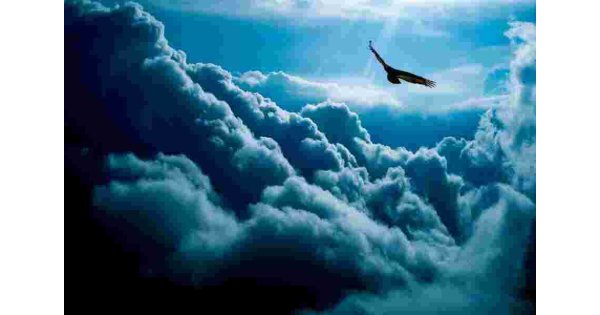 Soar Meaning and Definition