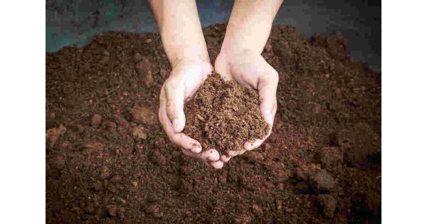 Soil Meaning and Definition
