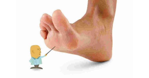 Sole Meaning and Definition