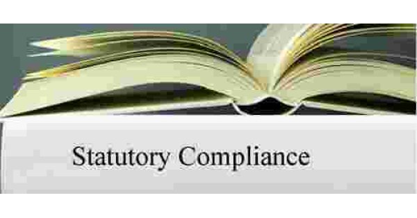 Statutory Meaning and Definition