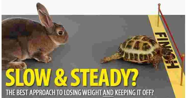 Steady Meaning and Definition