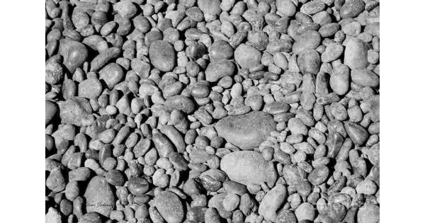 Stony Meaning and Definition