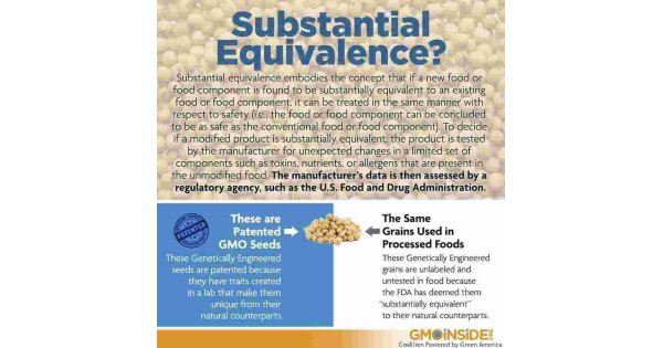 Substantial Meaning and Definition