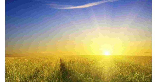 Sunshine Meaning and Definition Sunshine Meaning and Definition