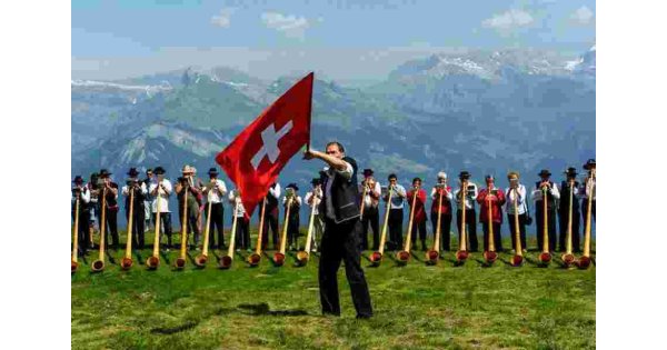 Swiss Meaning and Definition