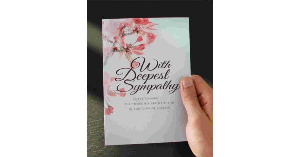 Sympathy Meaning and Definition
