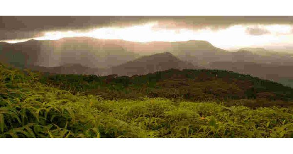 Terrestrial Meaning and Definition