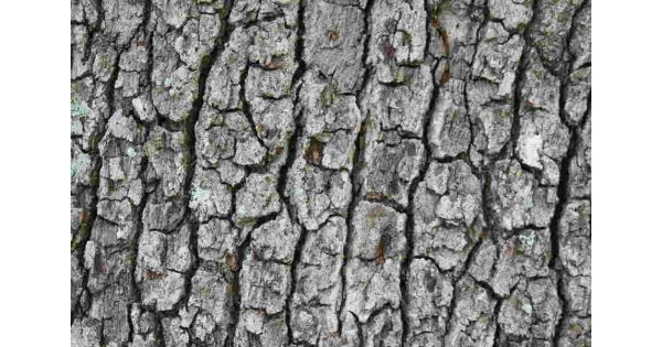 Texture Meaning and Definition Texture Meaning and Definition