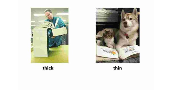 Thick Meaning and Definition