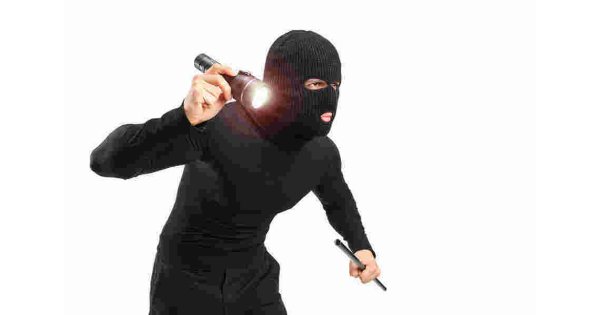 Thief Meaning and Definition