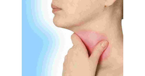 Throat Meaning and Definition