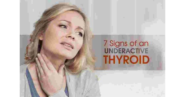 Thyroid Meaning and Definition