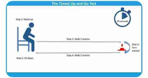 Timed Meaning and Definition