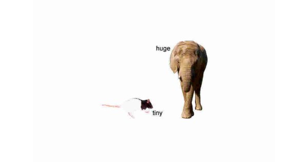 Tiny Meaning and Definition