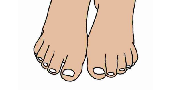 Toes Meaning and Definition
