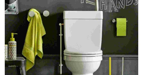 Toilette Meaning and Definition