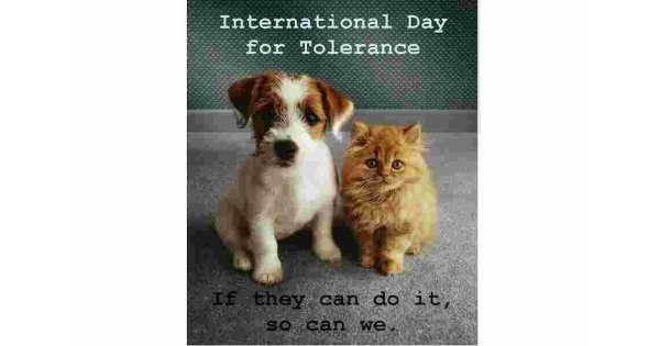 Tolerance Meaning and Definition