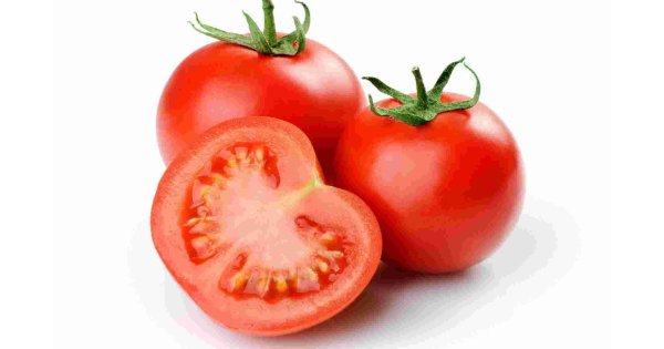 Tomato Meaning and Definition
