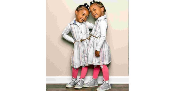 Twin Meaning and Definition Twin Meaning and Definition