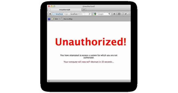 Unauthorized Meaning and Definition