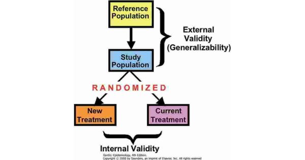 Validity Meaning and Definition