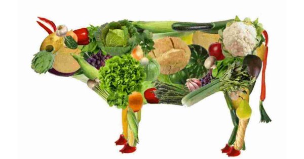 Vegetarian Meaning and Definition Vegetarian Meaning and Definition