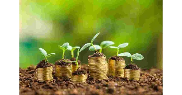Venture Meaning and Definition