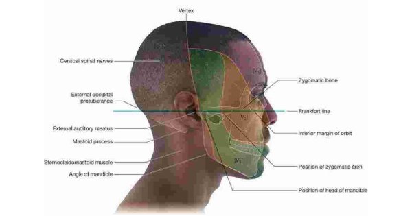 Vertex Meaning and Definition