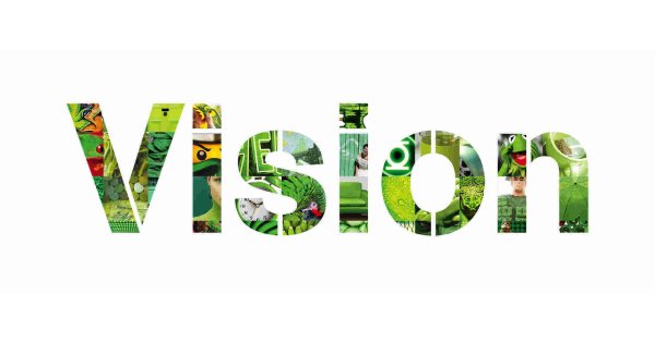 Vision Meaning and Definition