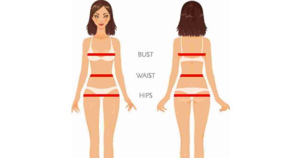 Waist Meaning and Definition