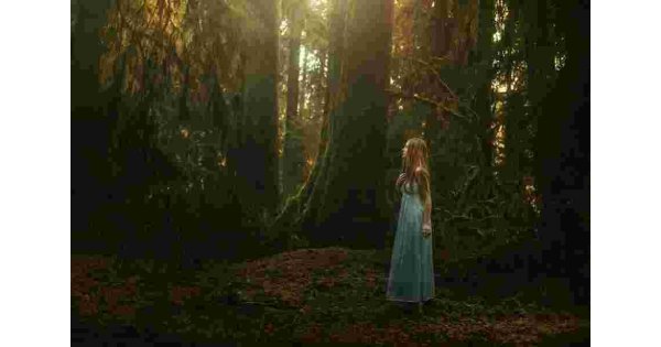 Wander Meaning and Definition