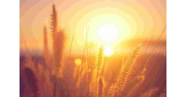 Warmth Meaning and Definition