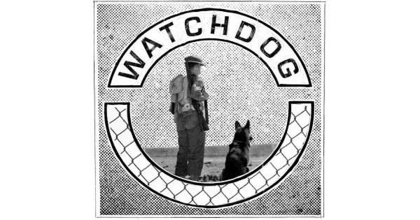 Watchdog Meaning and Definition