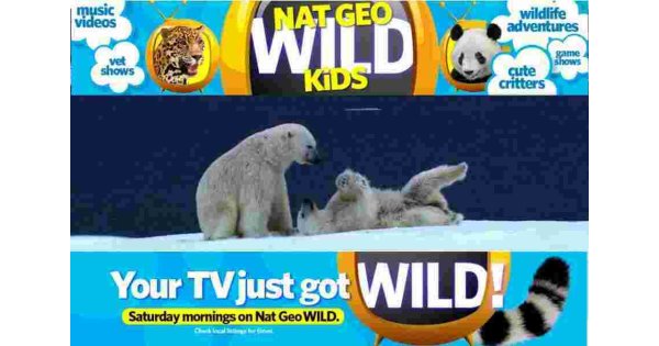 Wild Meaning and Definition