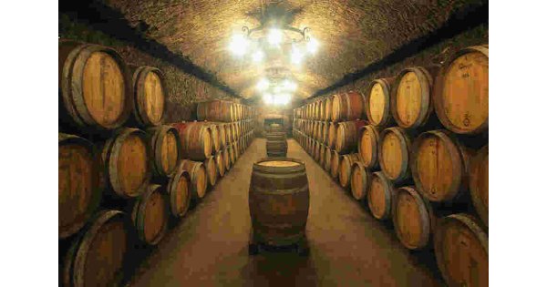 Winery Meaning and Definition
