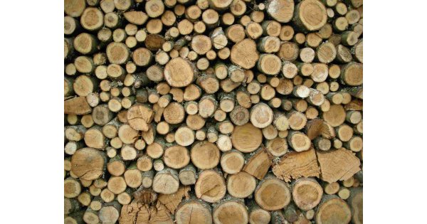 Wood Meaning and Definition