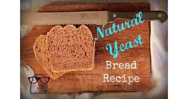 Yeast Meaning and Definition