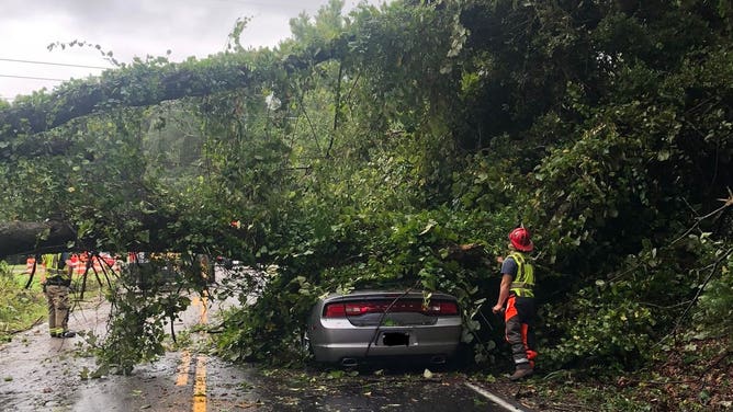 Charleston slammed with storm surge as Idalia continues pounding the Southeast 