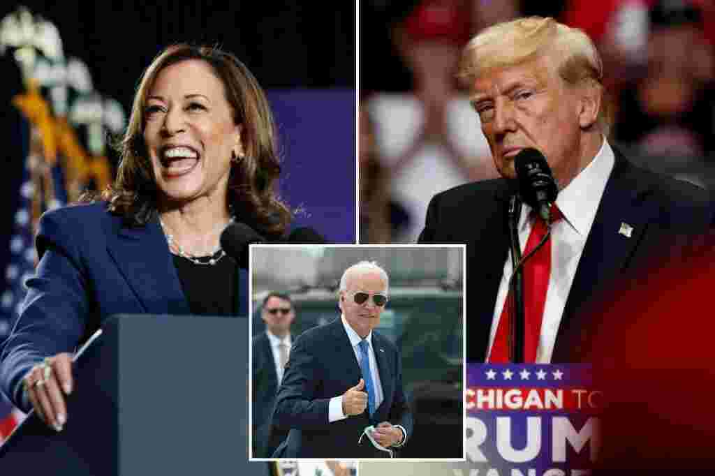 Battleground Georgia’s a toss-up in fresh survey of new Trump-Harris race -- taken after Biden dropped out