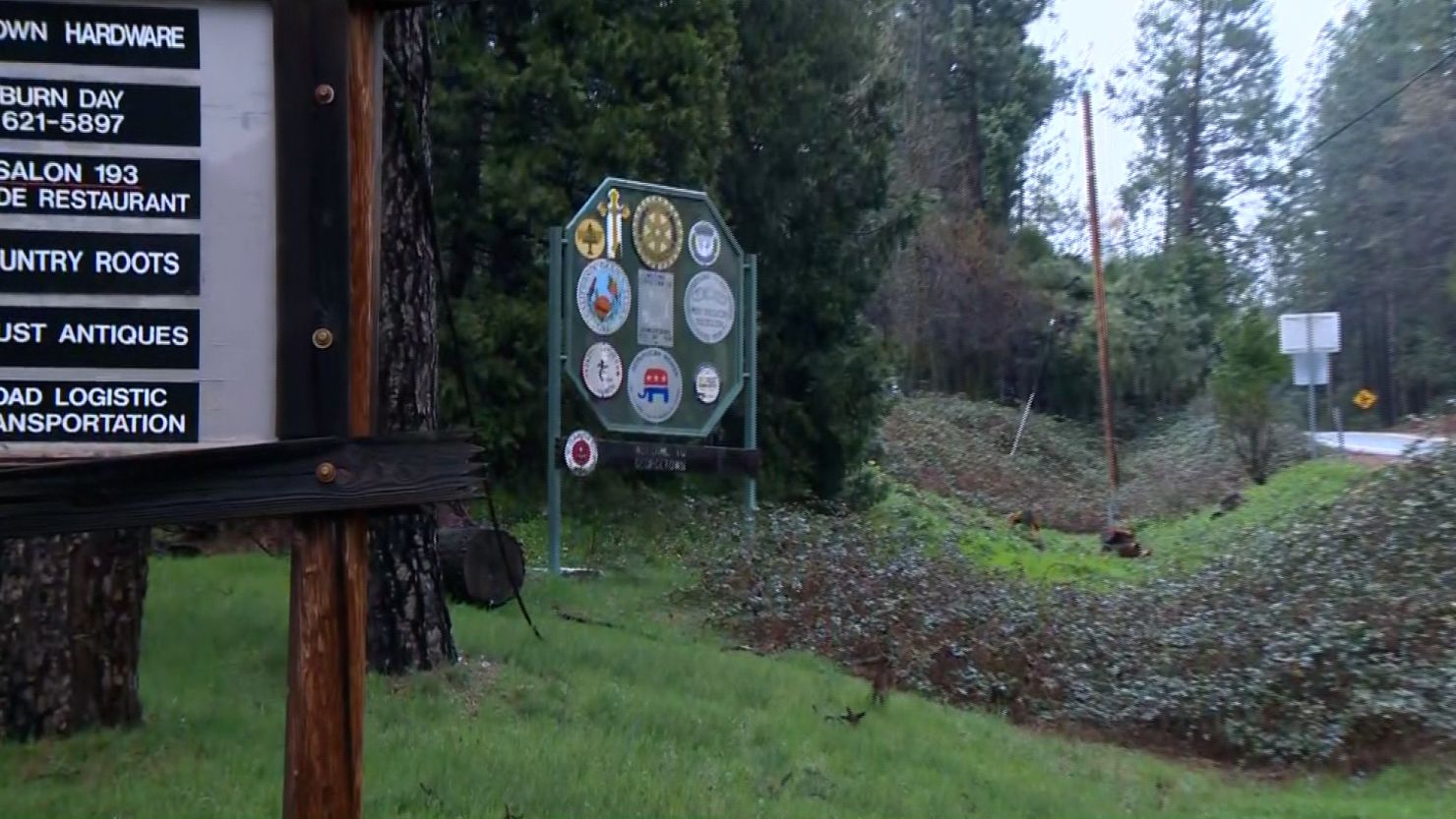Mountain Lion Attack Leaves Man Dead and Brother Injured in California