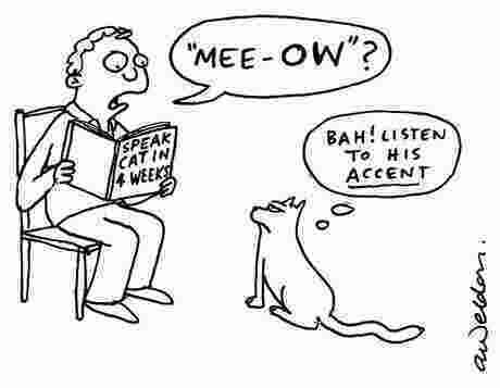 Accent Meaning and Definition